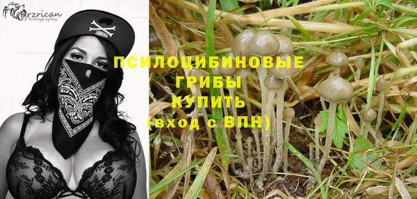 гидра Алзамай