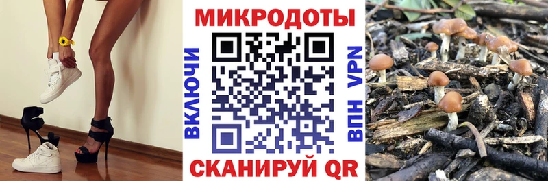 где можно купить наркотик  Переславль-Залесский  Псилоцибиновые грибы MAGIC MUSHROOMS 